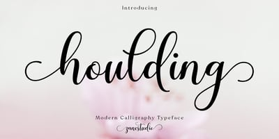 Houlding Script