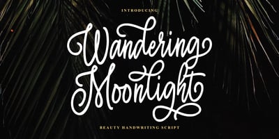 Wandering Moonlight