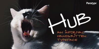 Hub