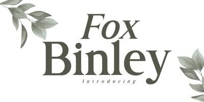 Fox Binley