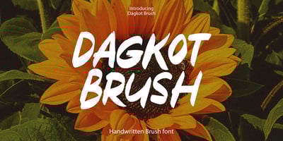 Dagkot Brush