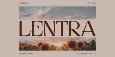 Lentra Display