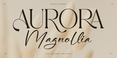 Aurora Magnollia Script