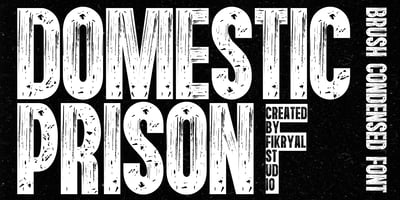 Domestic Prison