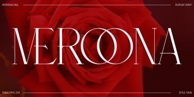 Meroona Display Serif
