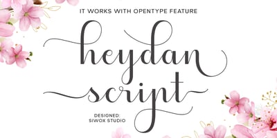 Heydan Script