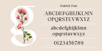 Podrich