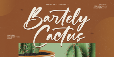 Bartely Cactus