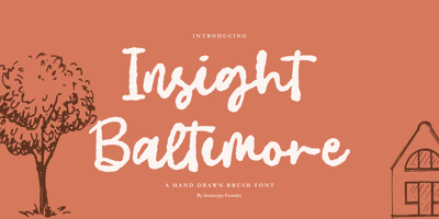 Insight Baltimore