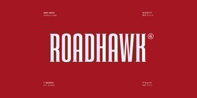 Roadhawk
