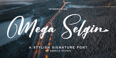 Mega Selgin
