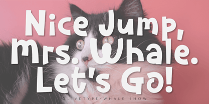 Whale Show Font Poster 2