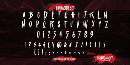 Psychomachy Font Poster 6