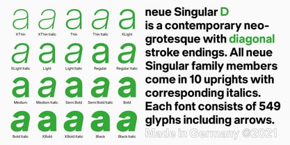 Neue Singular Font Poster 7