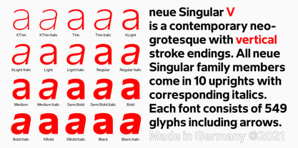 Neue Singular Font Poster 10