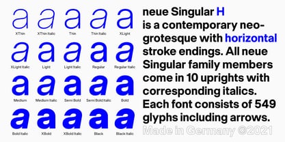 Neue Singular Font Poster 4