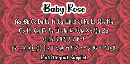 Baby Rose Font Poster 5