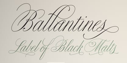 Bellissima Script Pro Fuente Póster 16