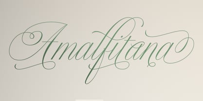 Bellissima Script Pro Font Poster 18