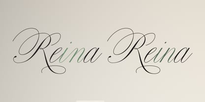 Bellissima Script Pro Font Poster 23