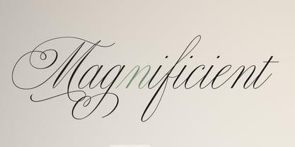 Bellissima Script Pro Font Poster 24