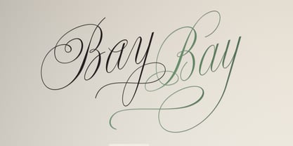 Bellissima Script Pro Font Poster 25