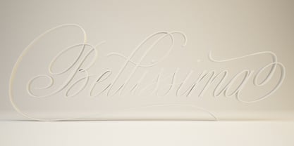 Bellissima Script Pro Font Poster 6