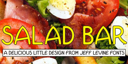 Salad Bar JNL Font Poster 1
