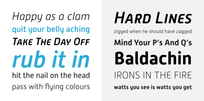 Alwyn New Rounded Font Poster 3