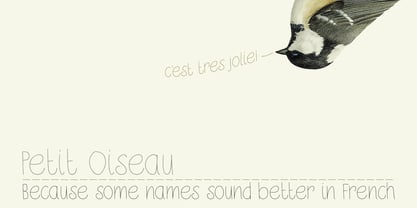 Petit Oiseau Font Poster 1