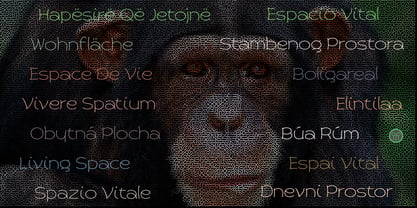 Primate Font Poster 12