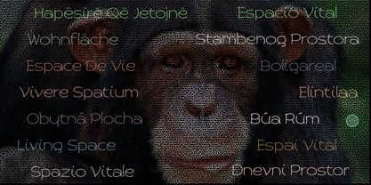 Primate Fuente Póster 12