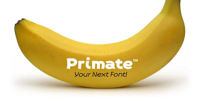 Primate Font Poster 2