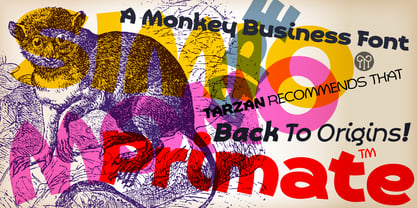 Primate Font Poster 10
