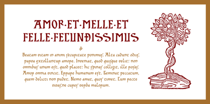 Cal Insular Minuscule Font Poster 4