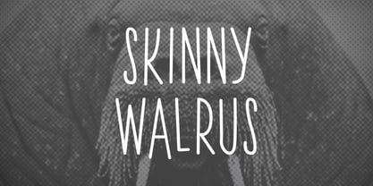 Skinny Walrus Font Poster 1
