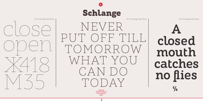 ALS Schlange Slab Font Poster 2