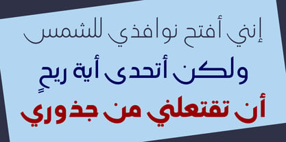 HS Amal Police Poster 7