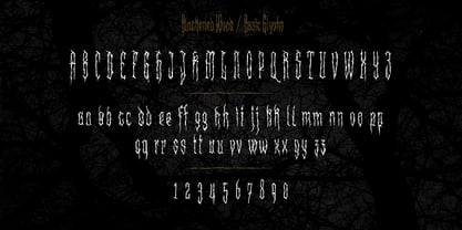 XXII Blackened Wood Font Poster 2