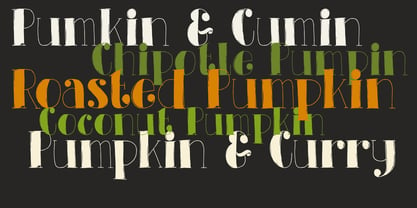 Pumpkin Soup Font Poster 2