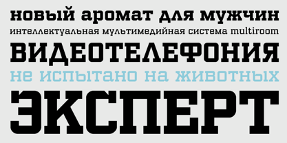 PF Synch Pro Font Poster 6