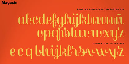 Magasin Font Poster 13