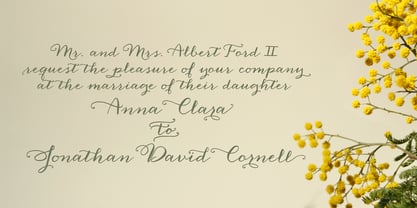 Anna Clara Font Poster 4