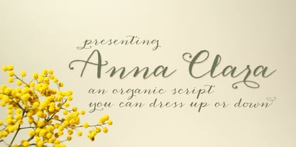 Anna Clara Font Poster 1