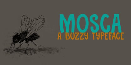 Mosca Font Poster 1