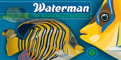 Waterman Font Poster 1