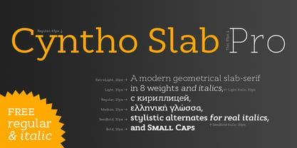 Cyntho Slab Pro Font Poster 2