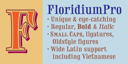 Floridium Pro LV Font Poster 1