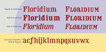 Floridium Pro LV Font Poster 3