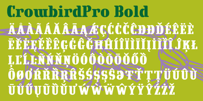 Crowbird Font Poster 3
